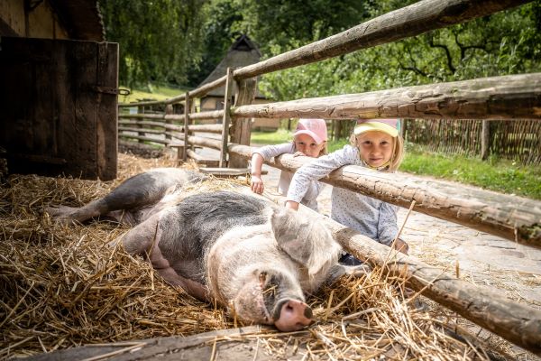 Kinder erleben alte Haustiere